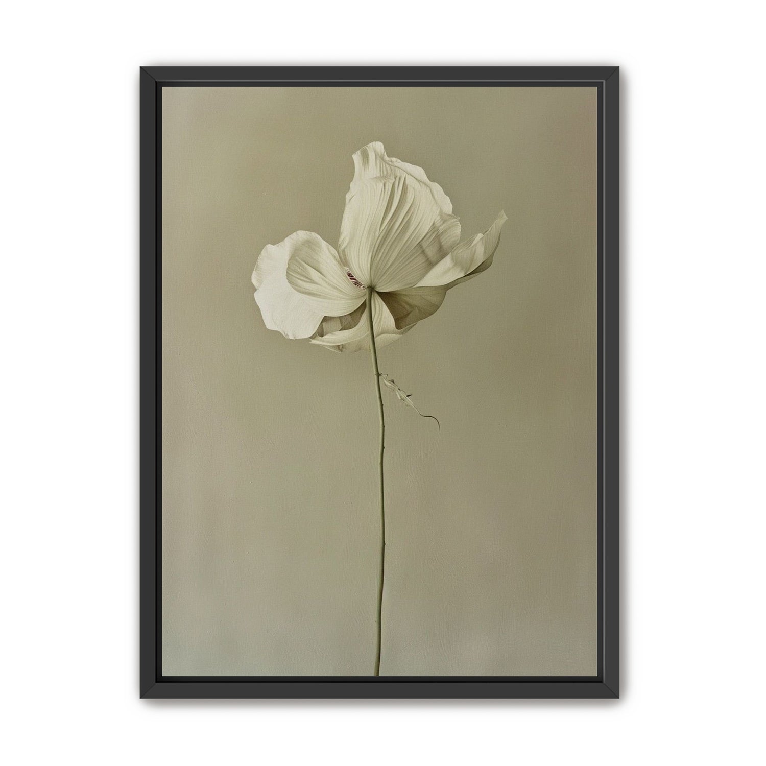 Ivory bloom in gray air