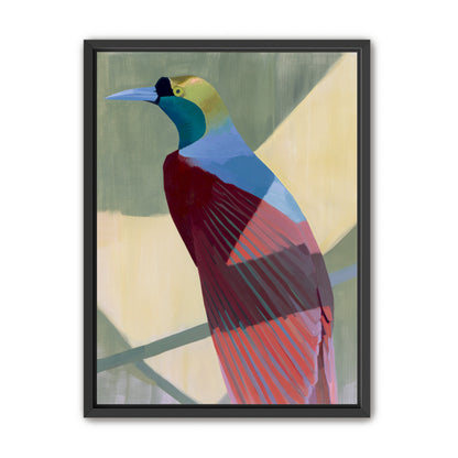 Teal throat on maroon wing
