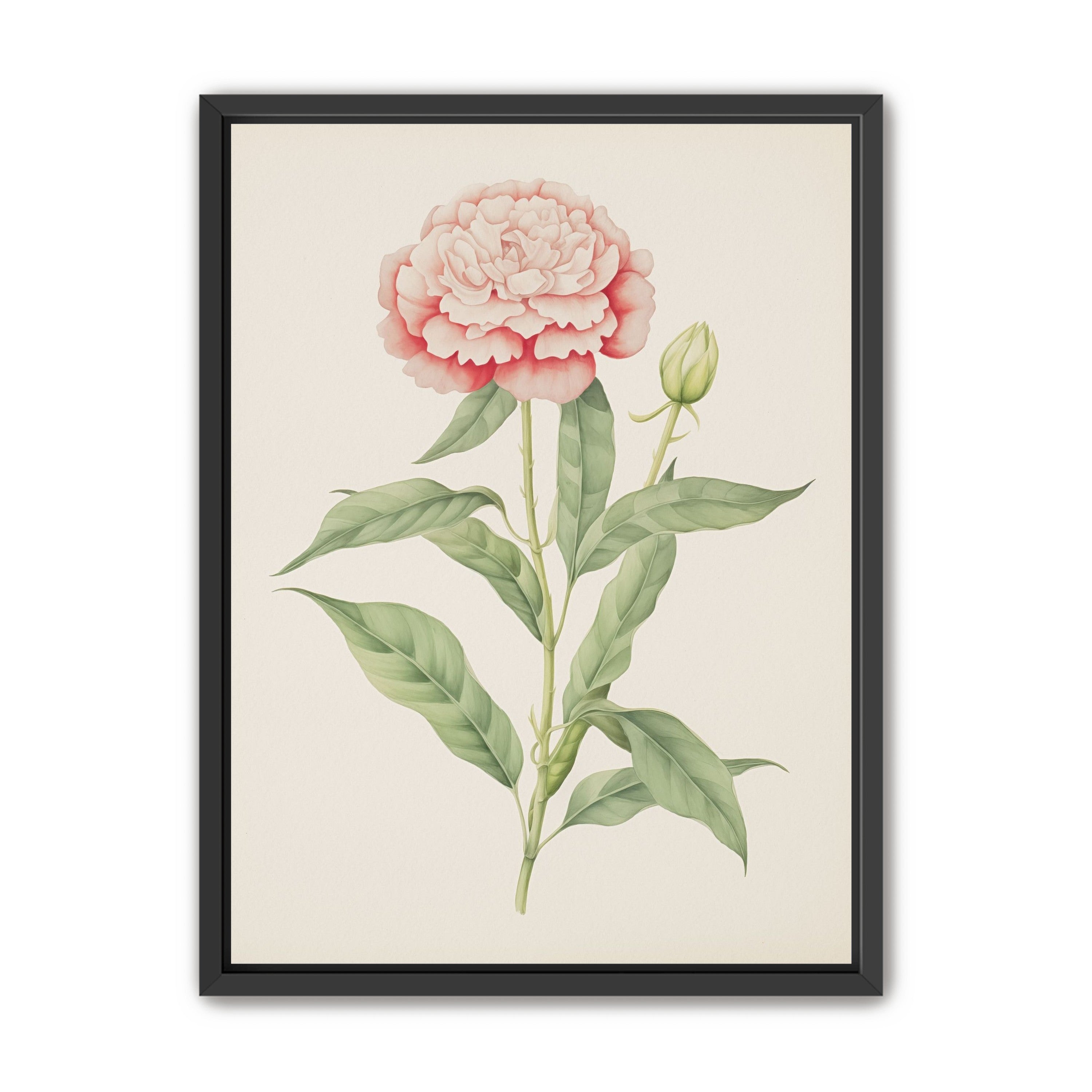 Delicate Blush