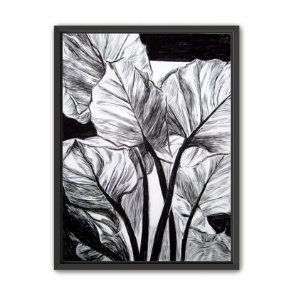 Overlapping Leaves on Dark Ground