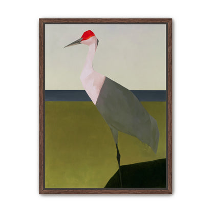 Red crown crane at the shore