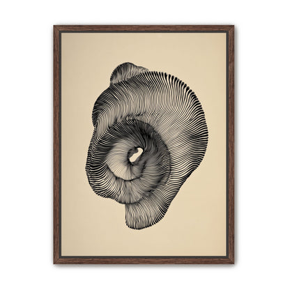 A hollow within black lines