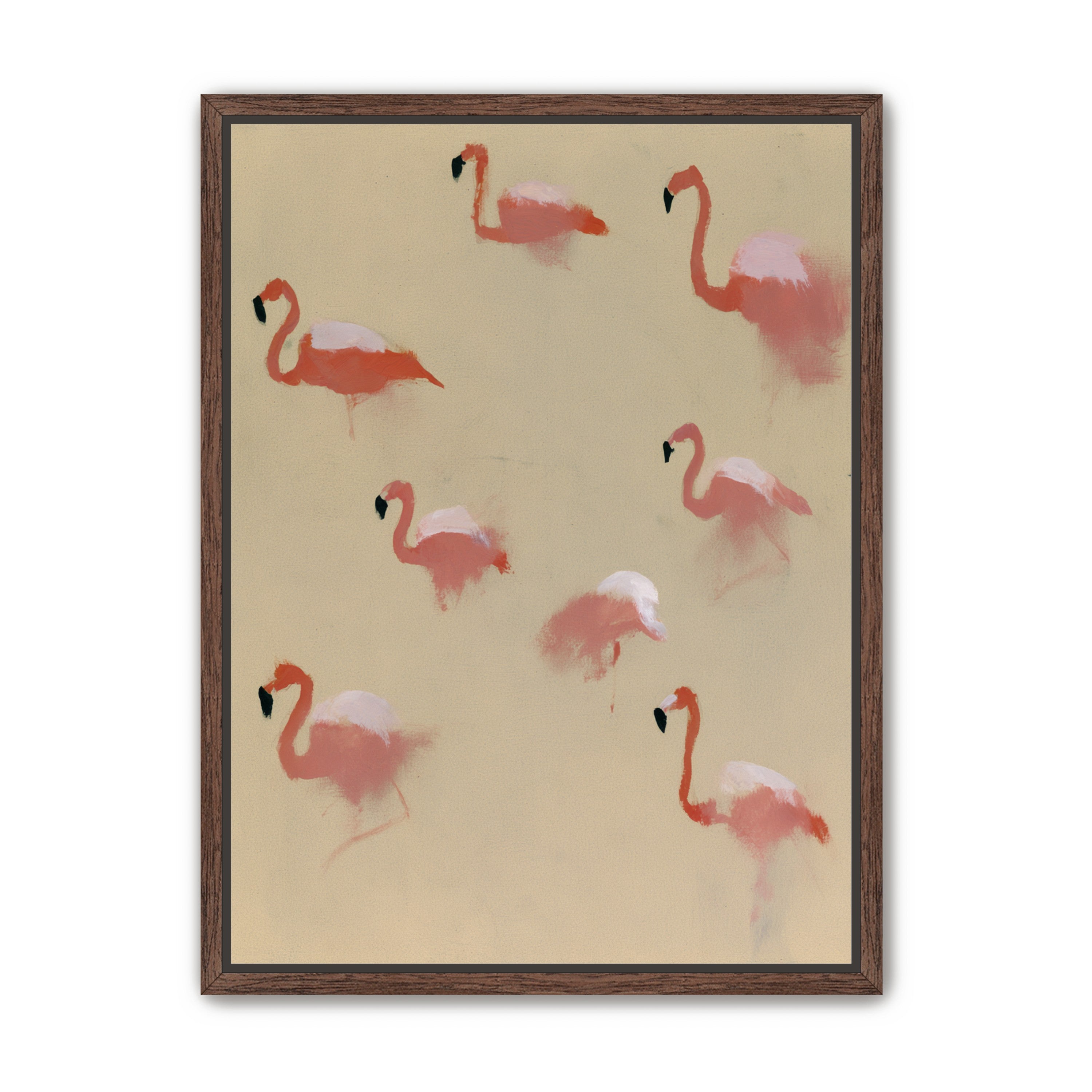 Flamingos in quiet drift