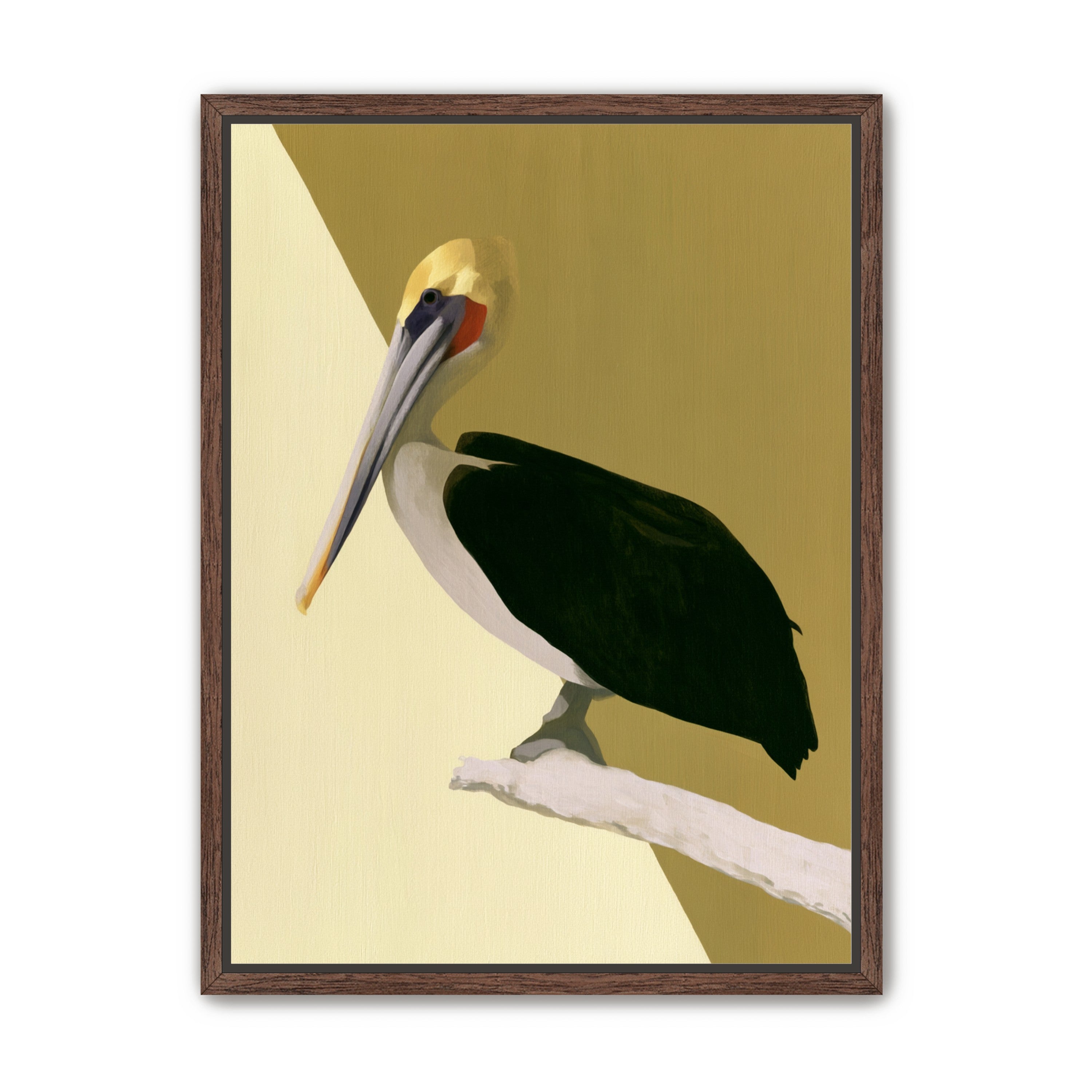 Pelican in quiet balance