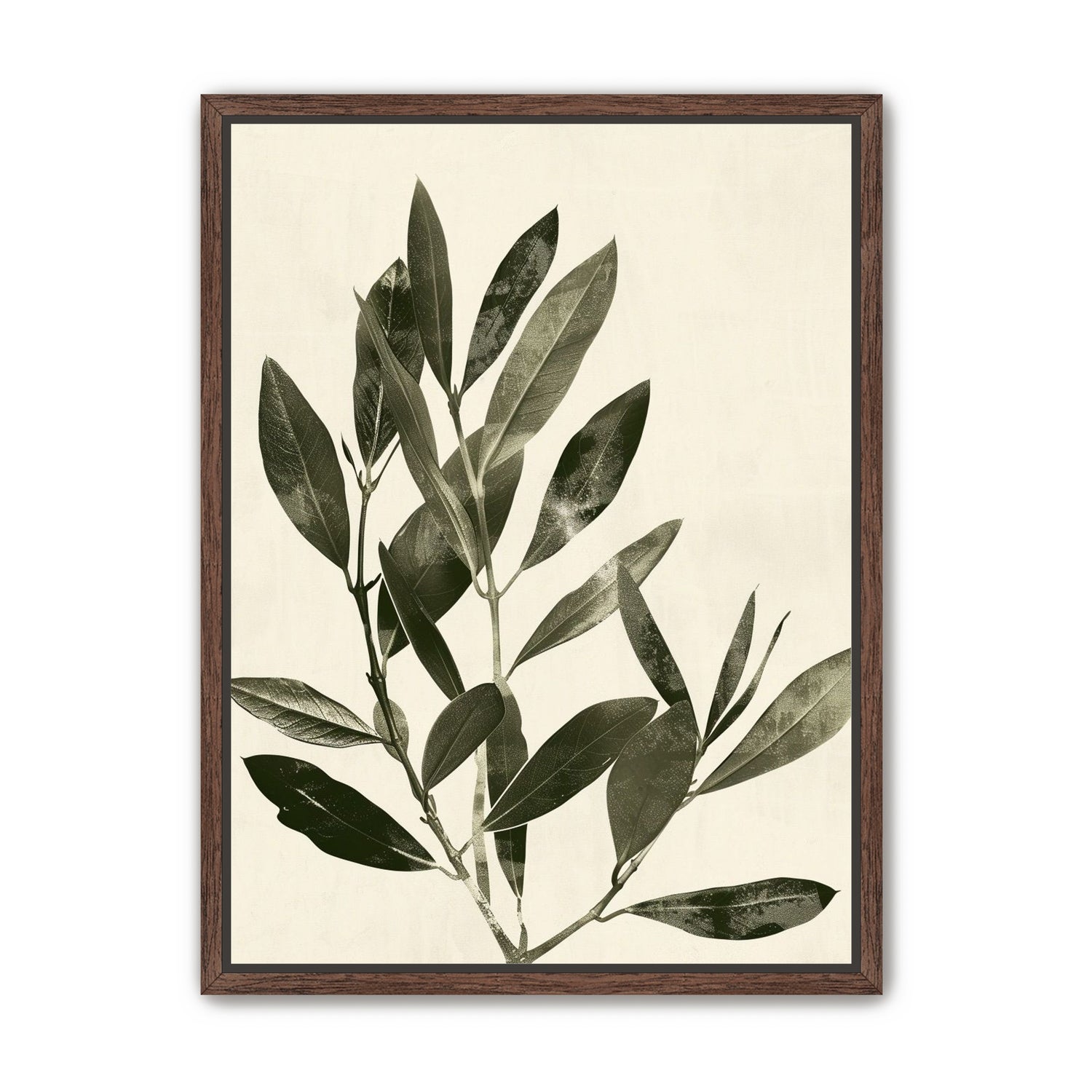 Dark leaves on pale field