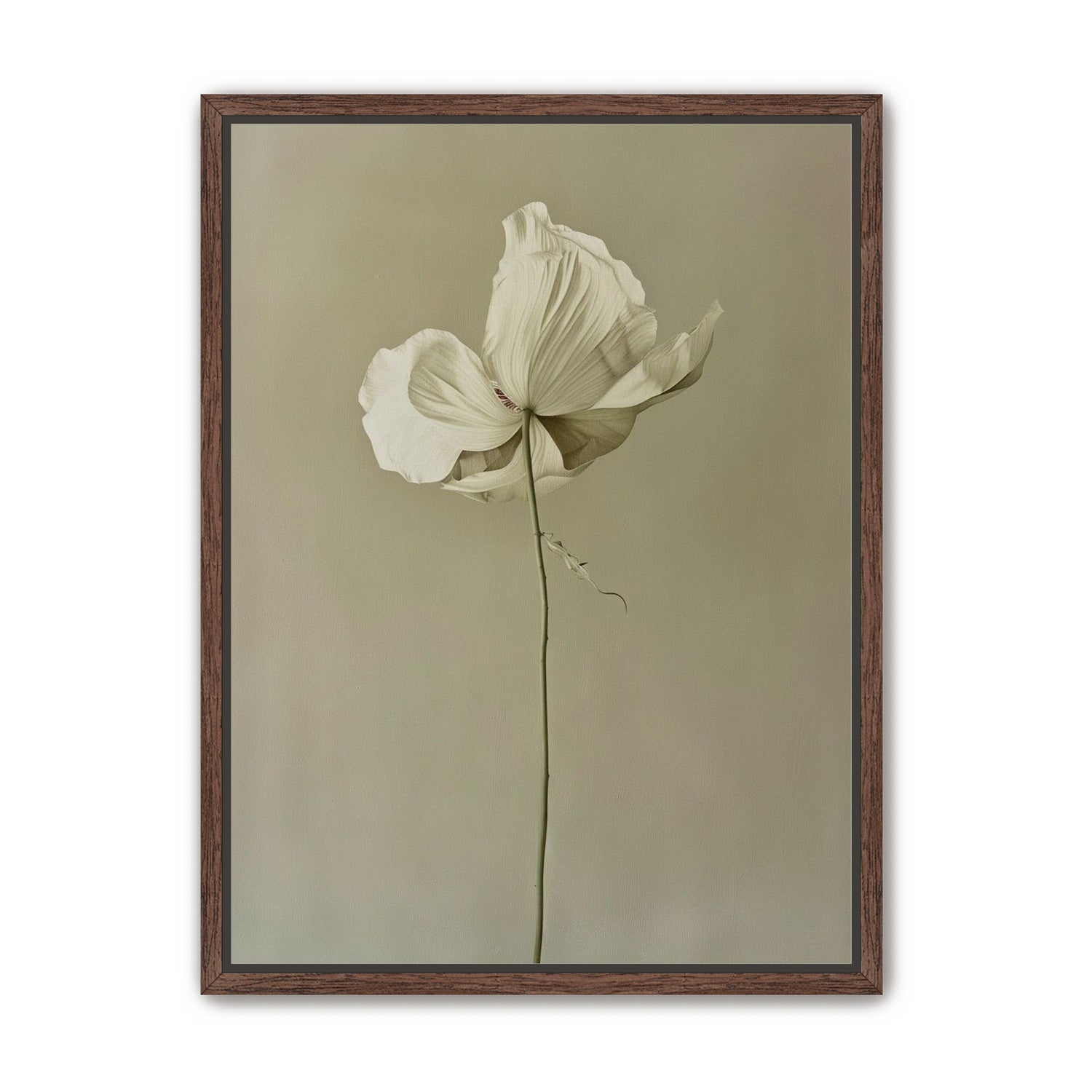 Ivory bloom in gray air