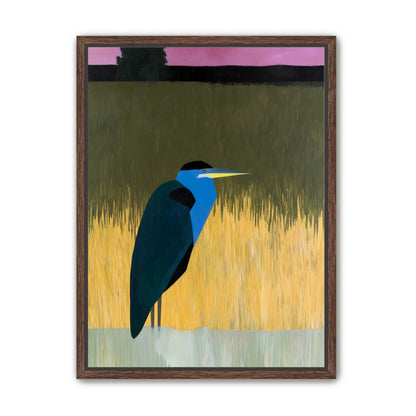Blue bird in yellow grass