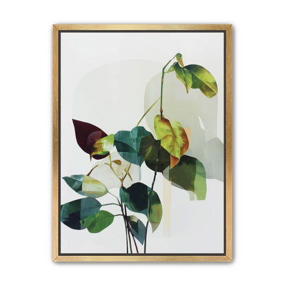Leaves within pale shadows