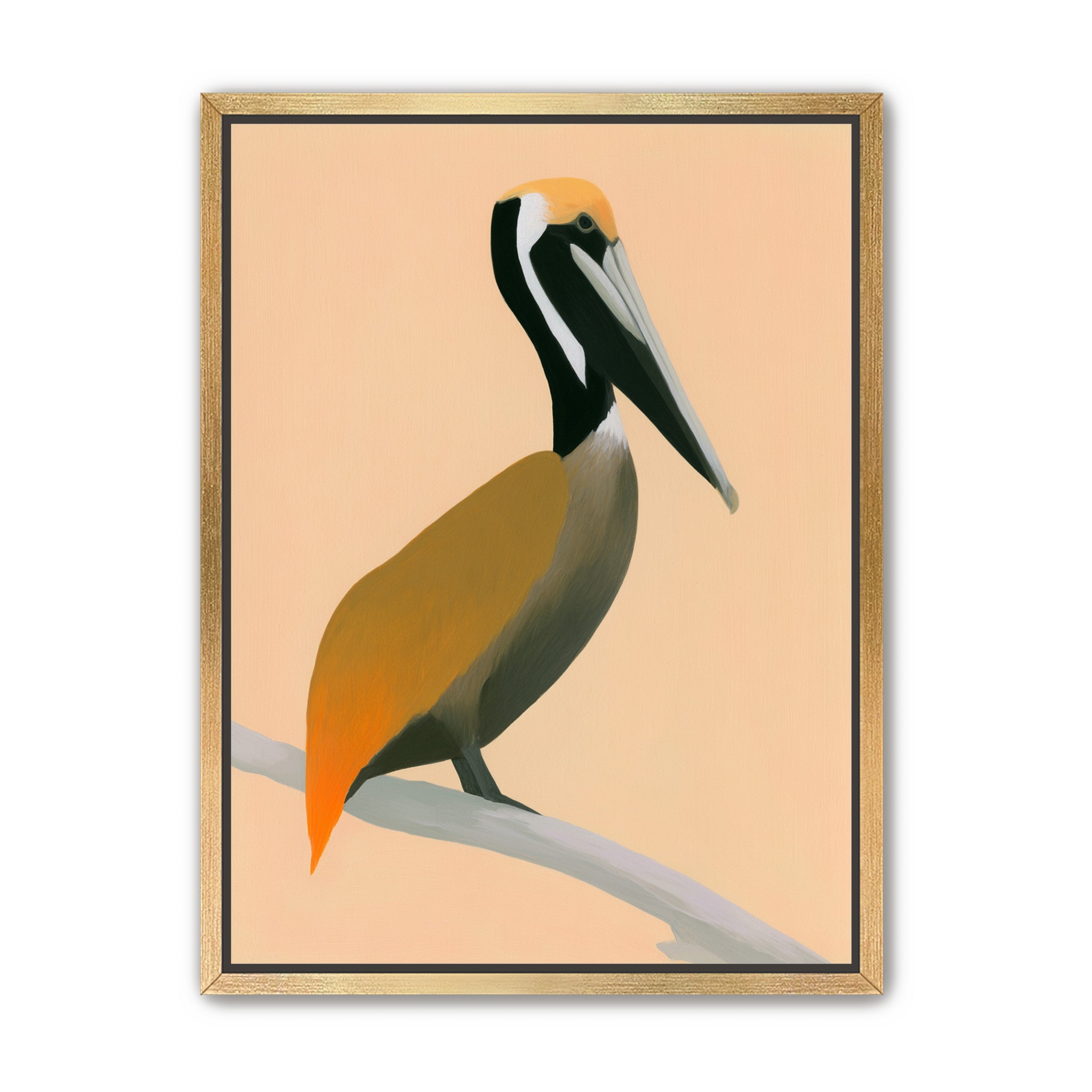 Pelican in peach light