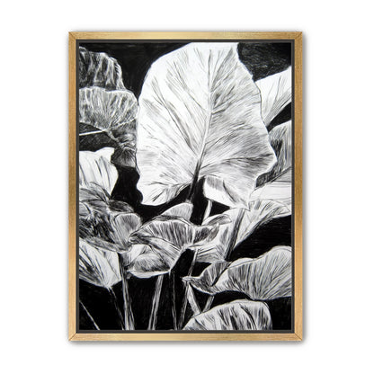 A Cluster of Leaves