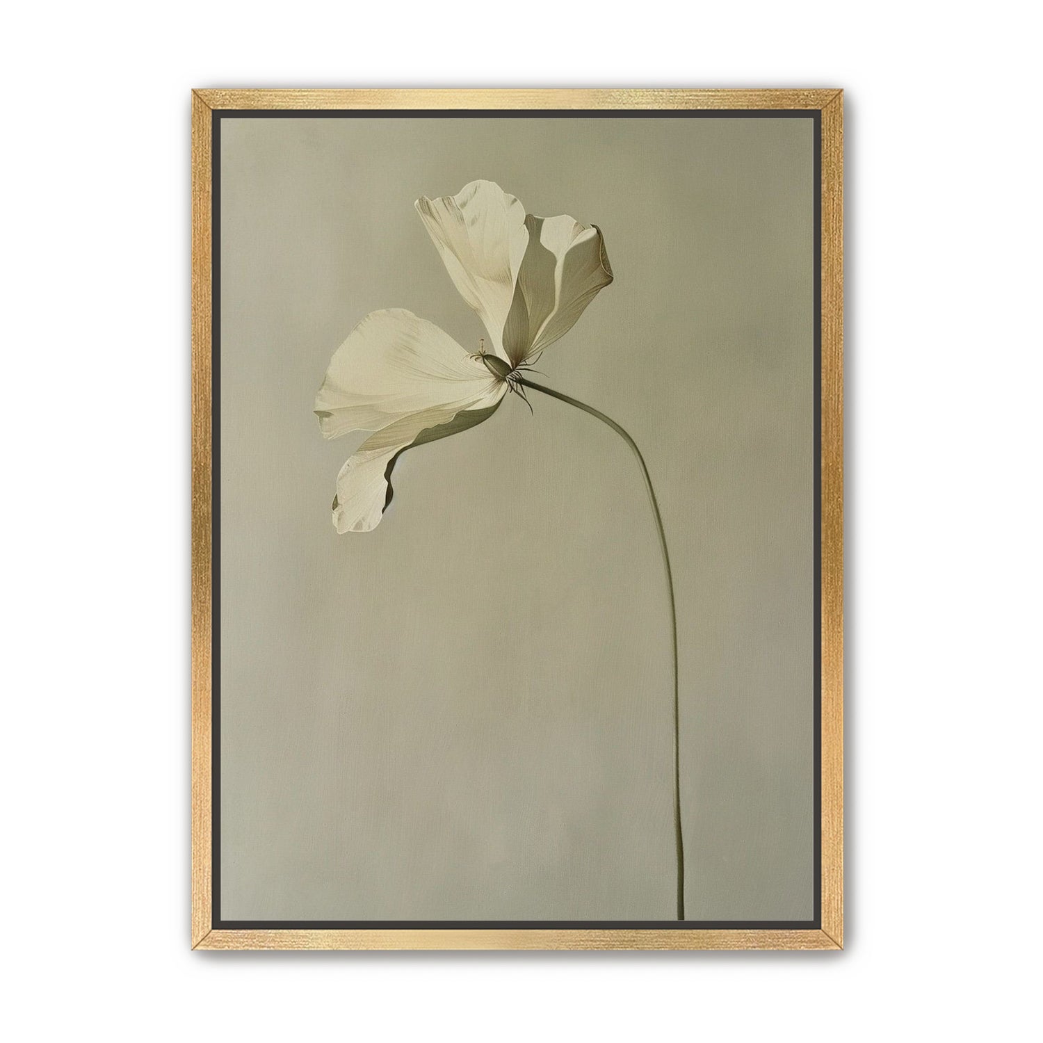 Cream petals in gray green air