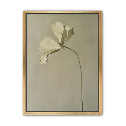 Cream petals in gray green air