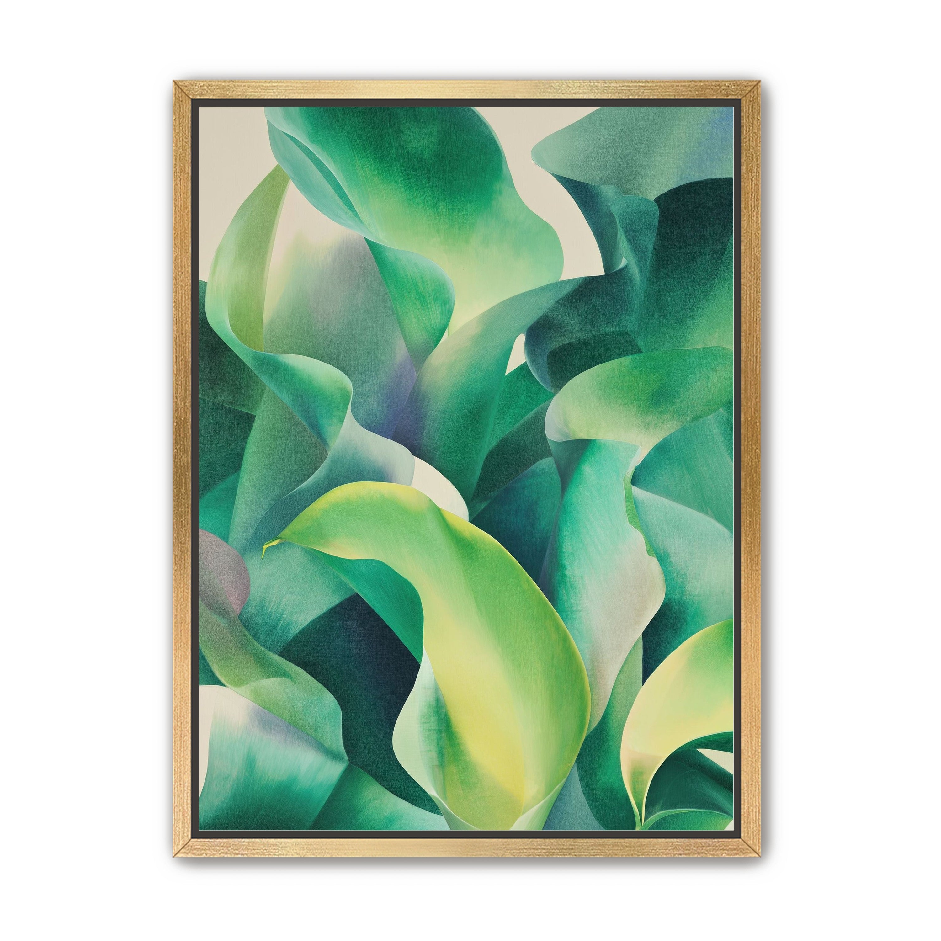 Calla lilies crowd the light