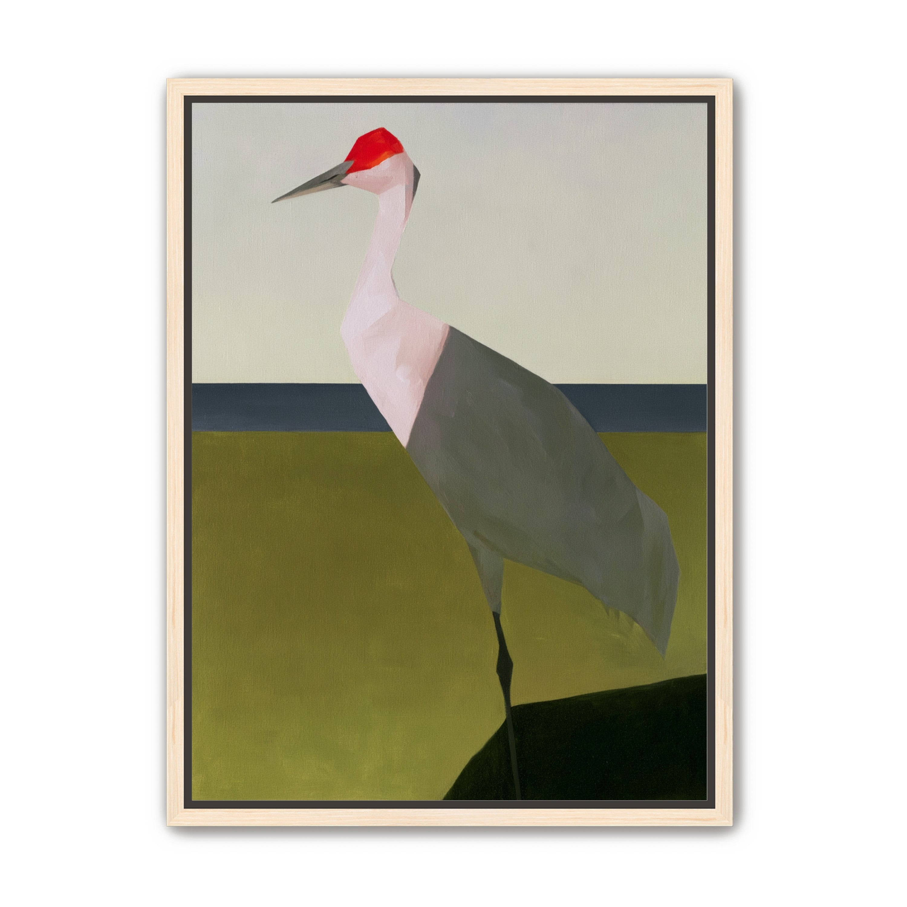 Red crown crane at the shore