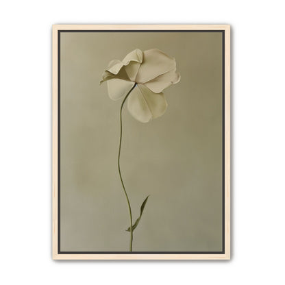 One flower leaning into quiet