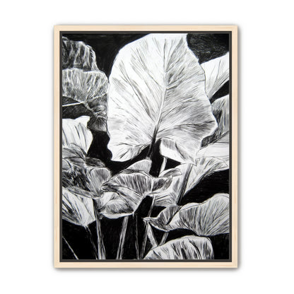 A Cluster of Leaves