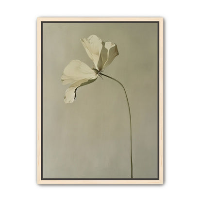 Cream petals in gray green air