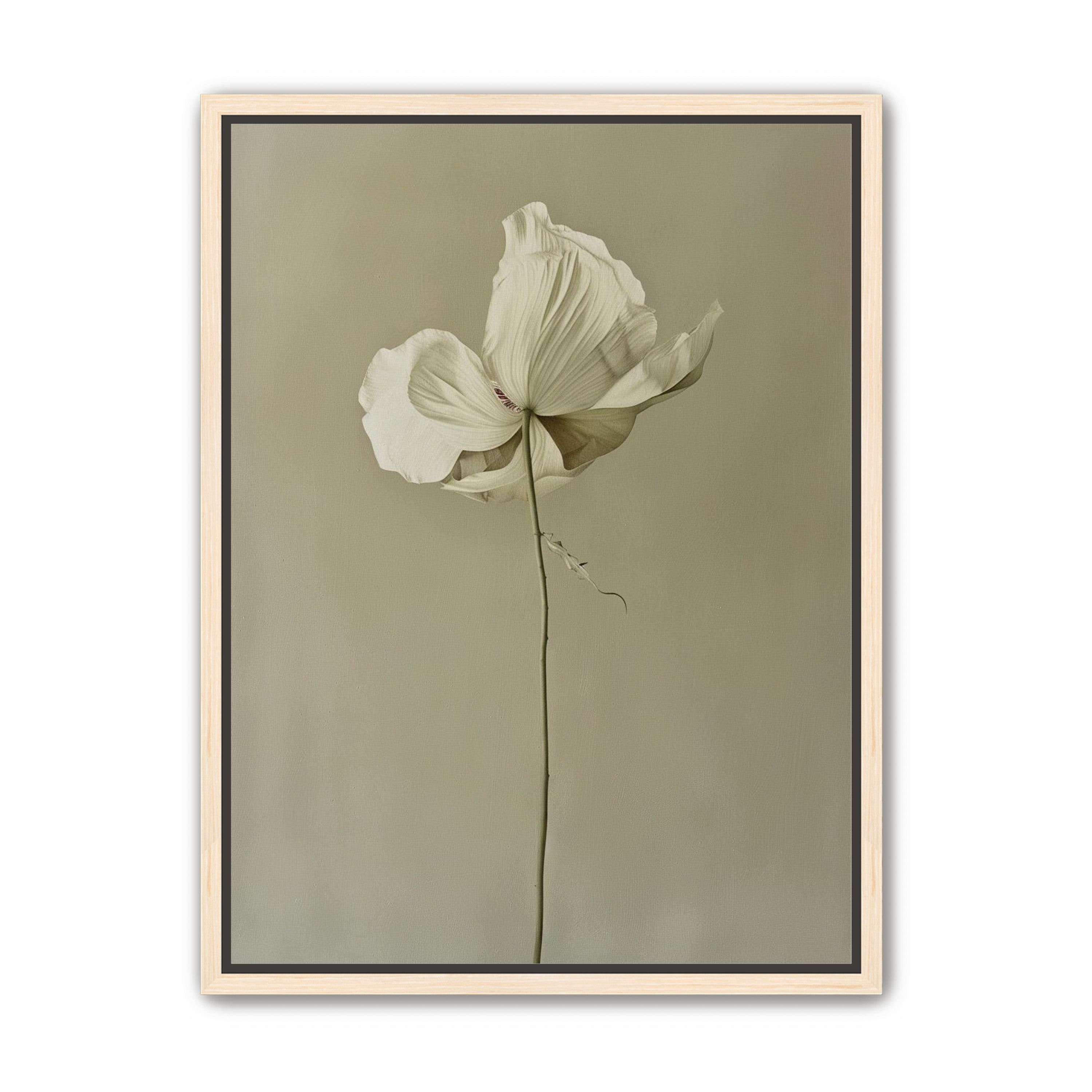 Ivory bloom in gray air