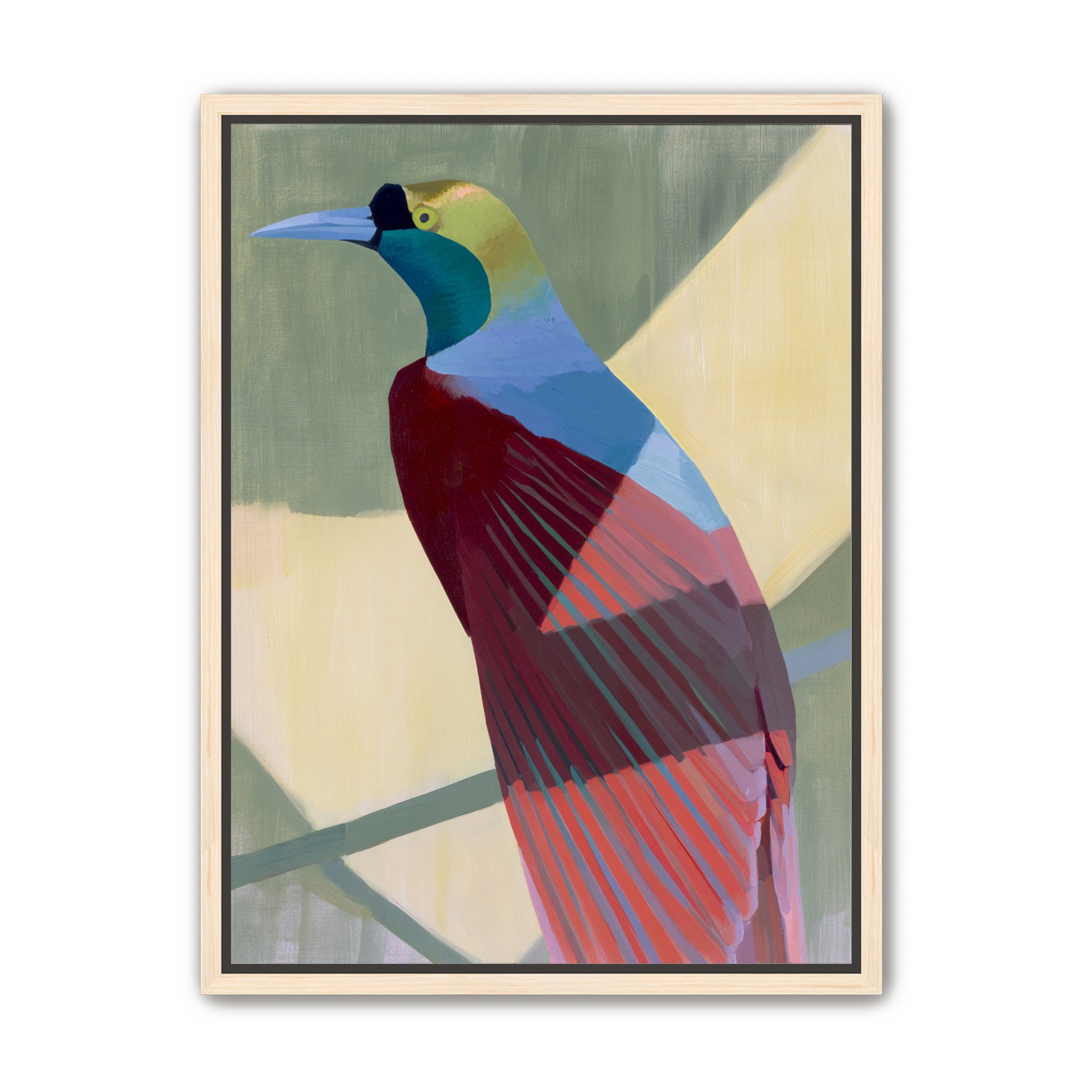 Teal throat on maroon wing