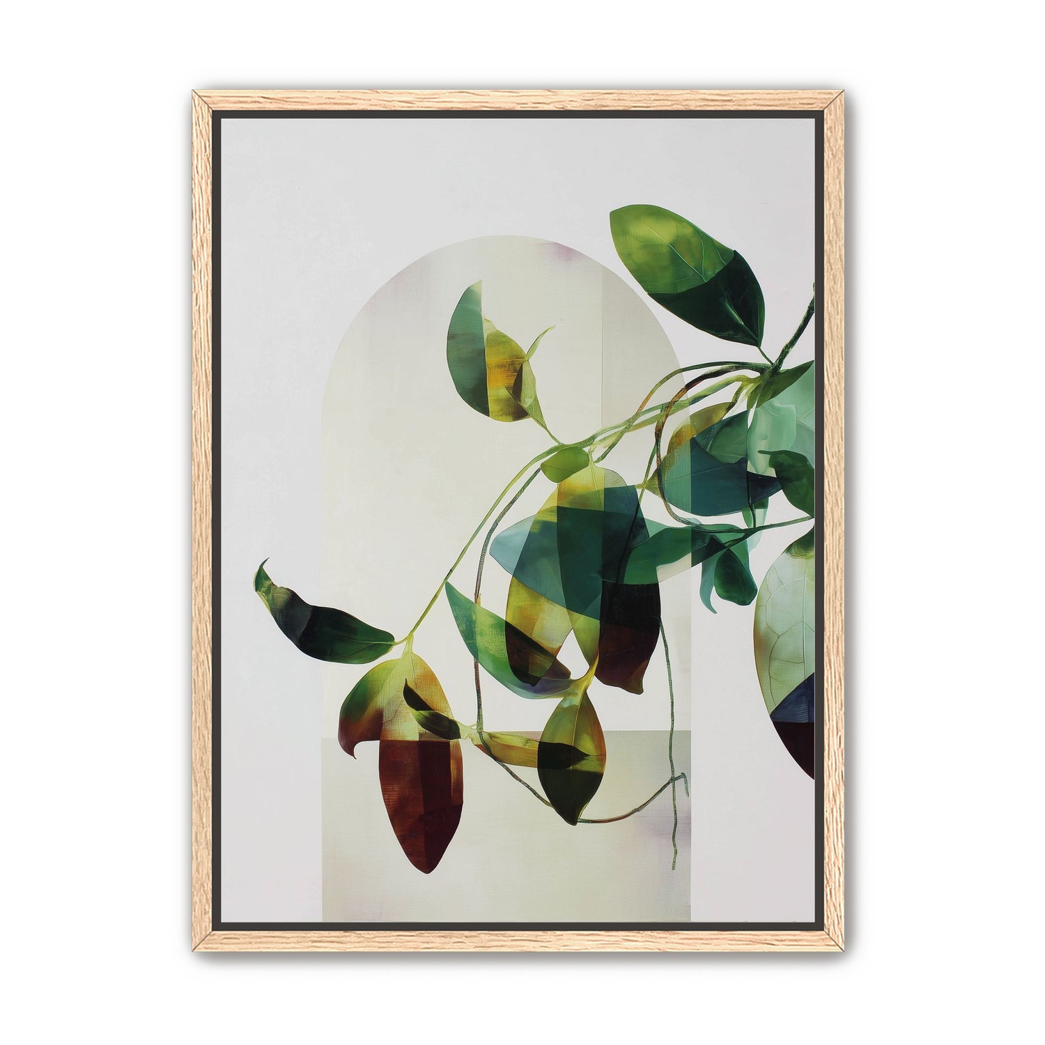 Leaves in a pale halo