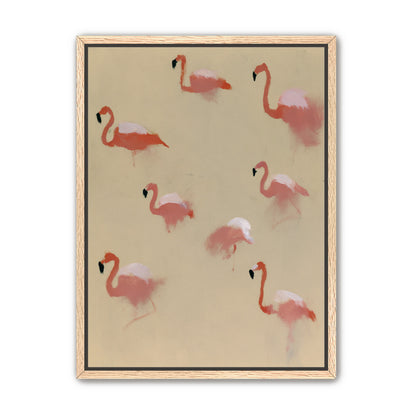 Flamingos in quiet drift