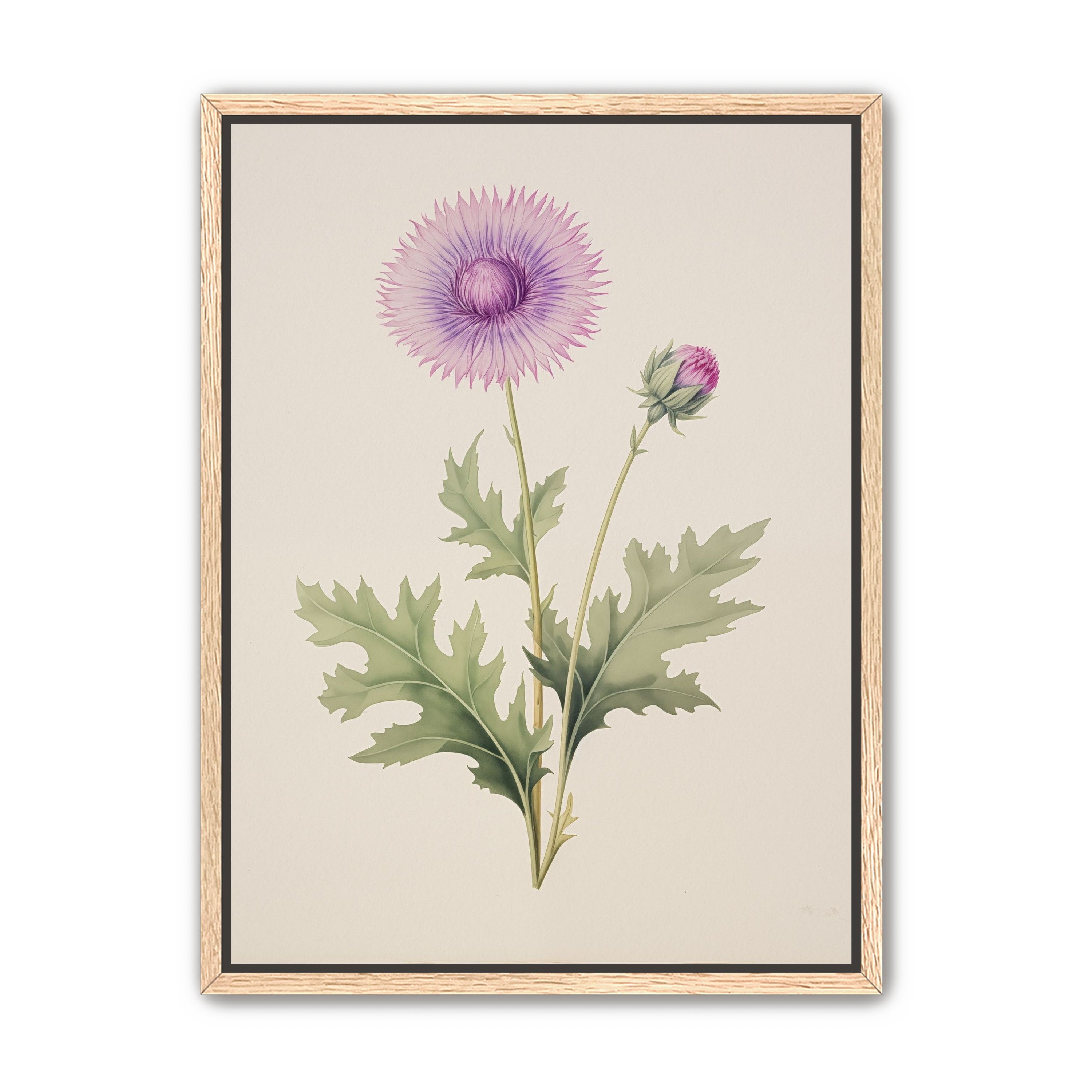 Lavender Radiance