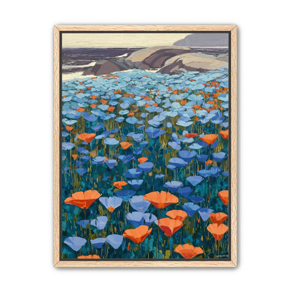 California Poppies