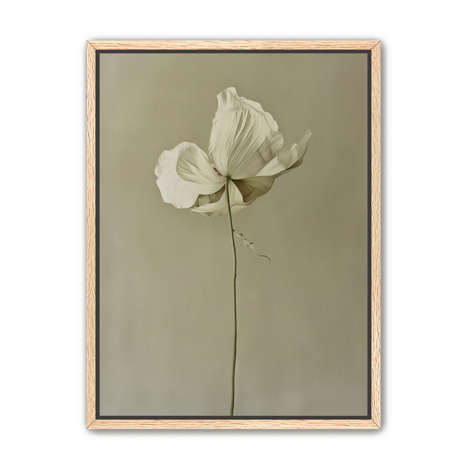 Ivory bloom in gray air