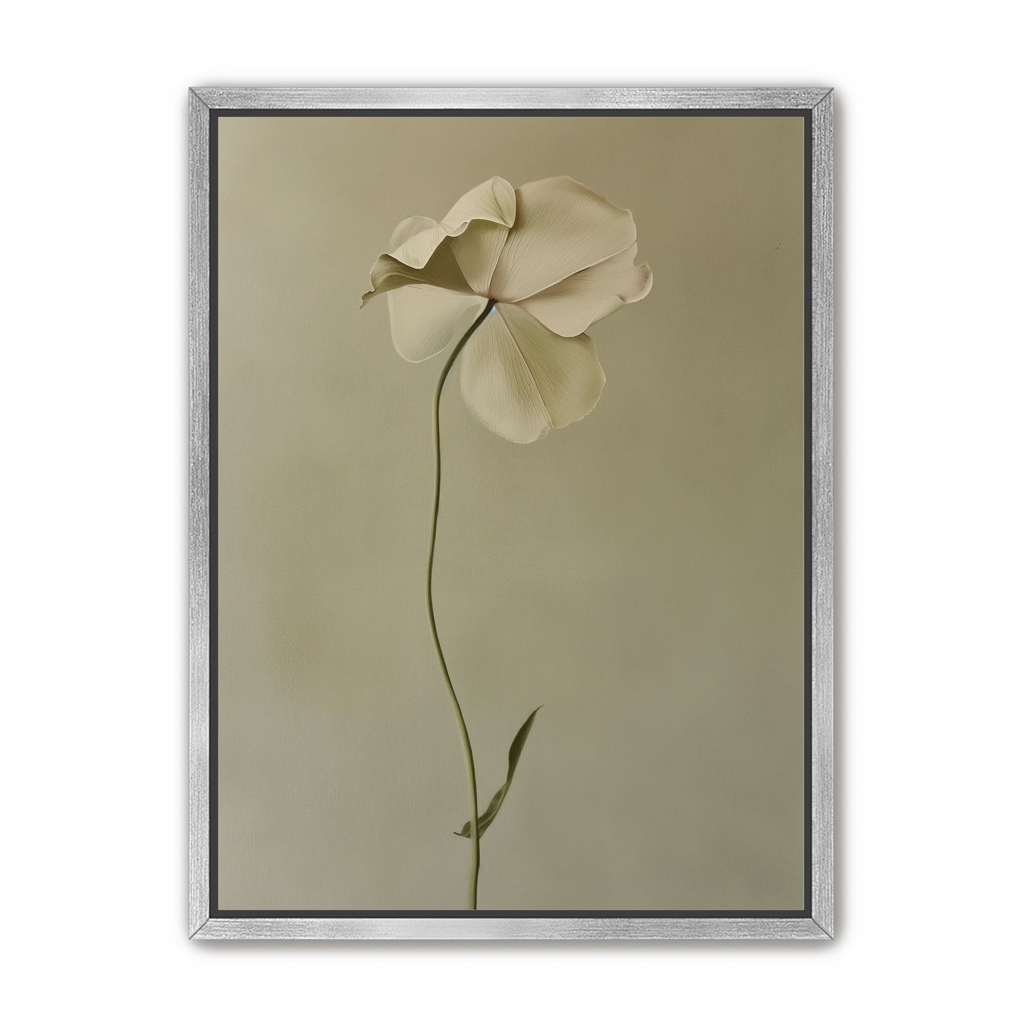 One flower leaning into quiet