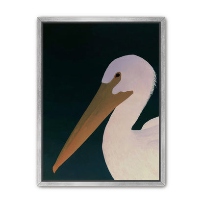 White pelican in stillness