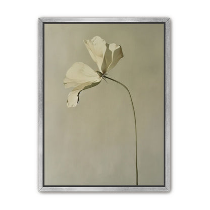 Cream petals in gray green air