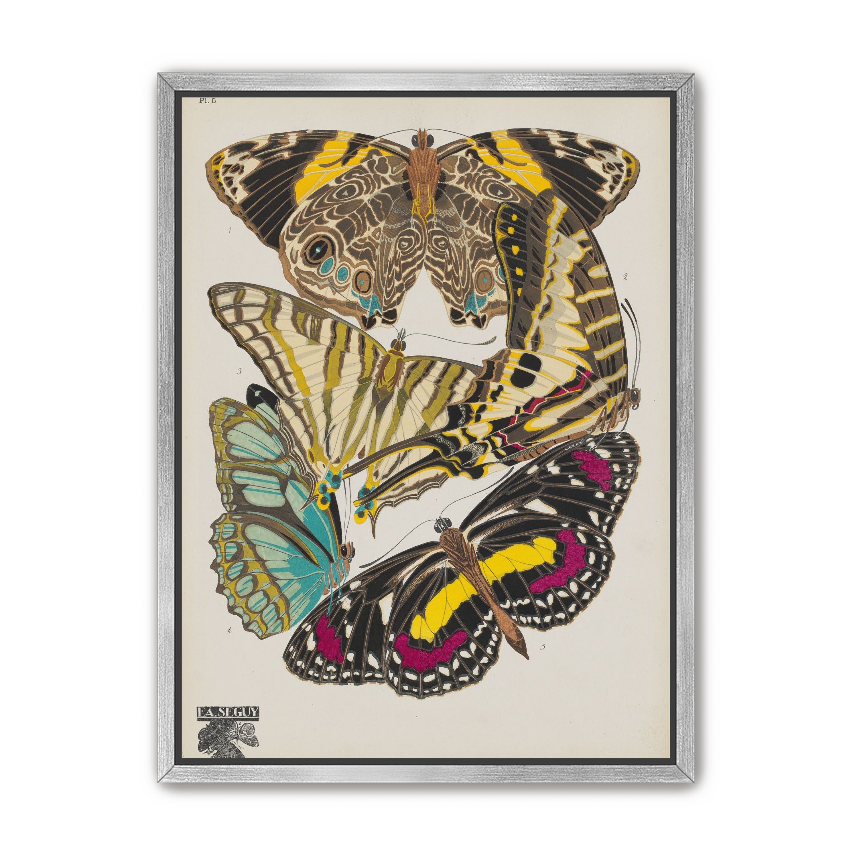 Butterflies among blank paper