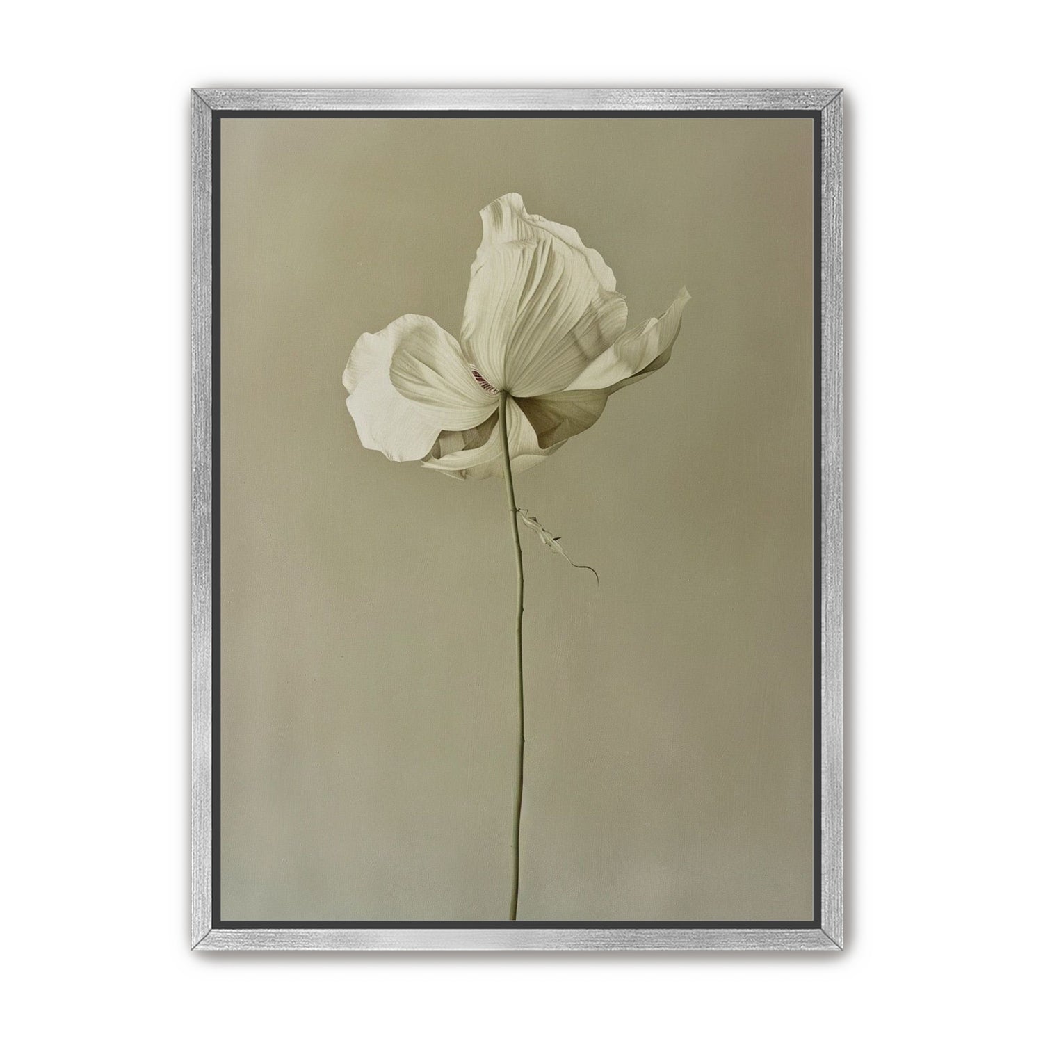 Ivory bloom in gray air