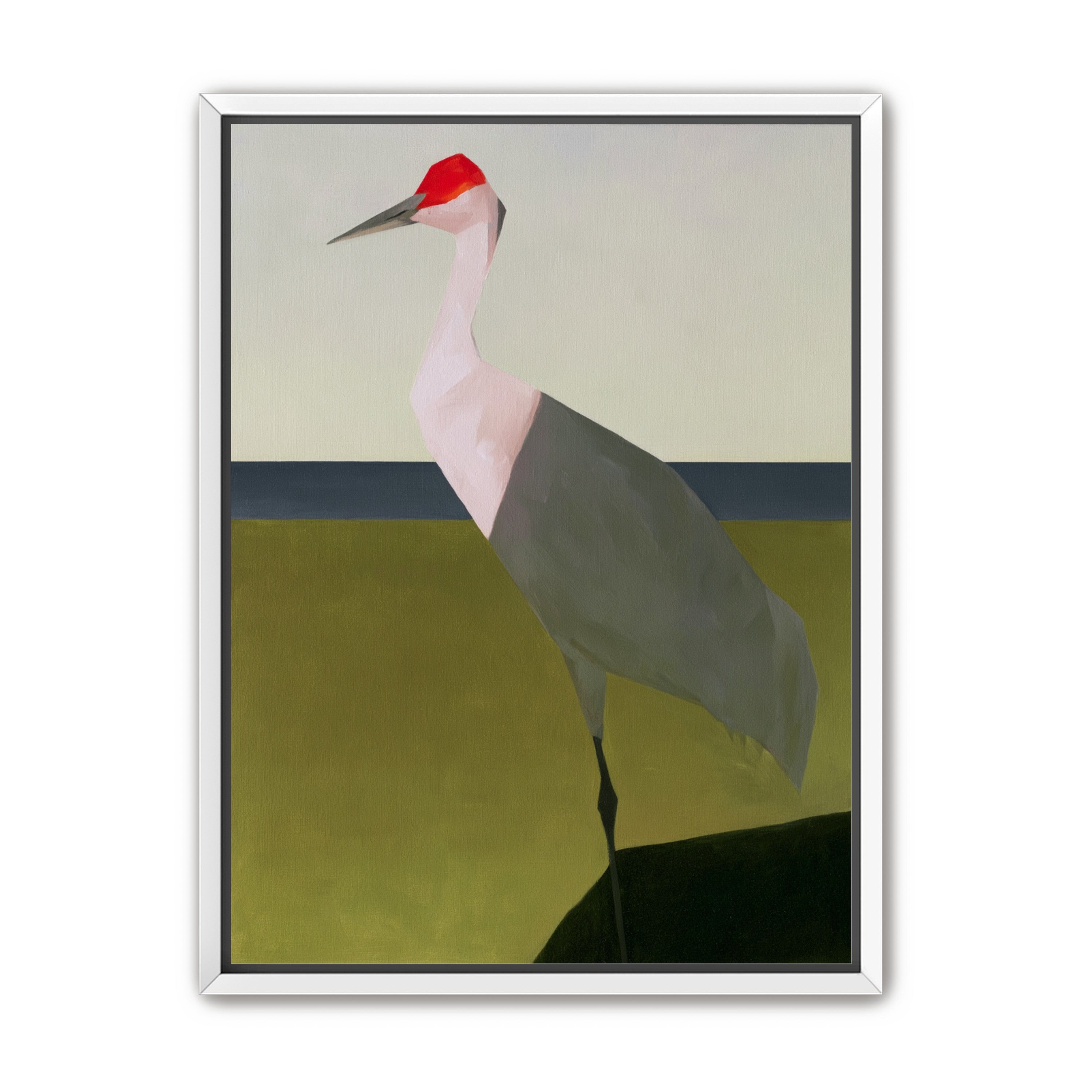 Red crown crane at the shore