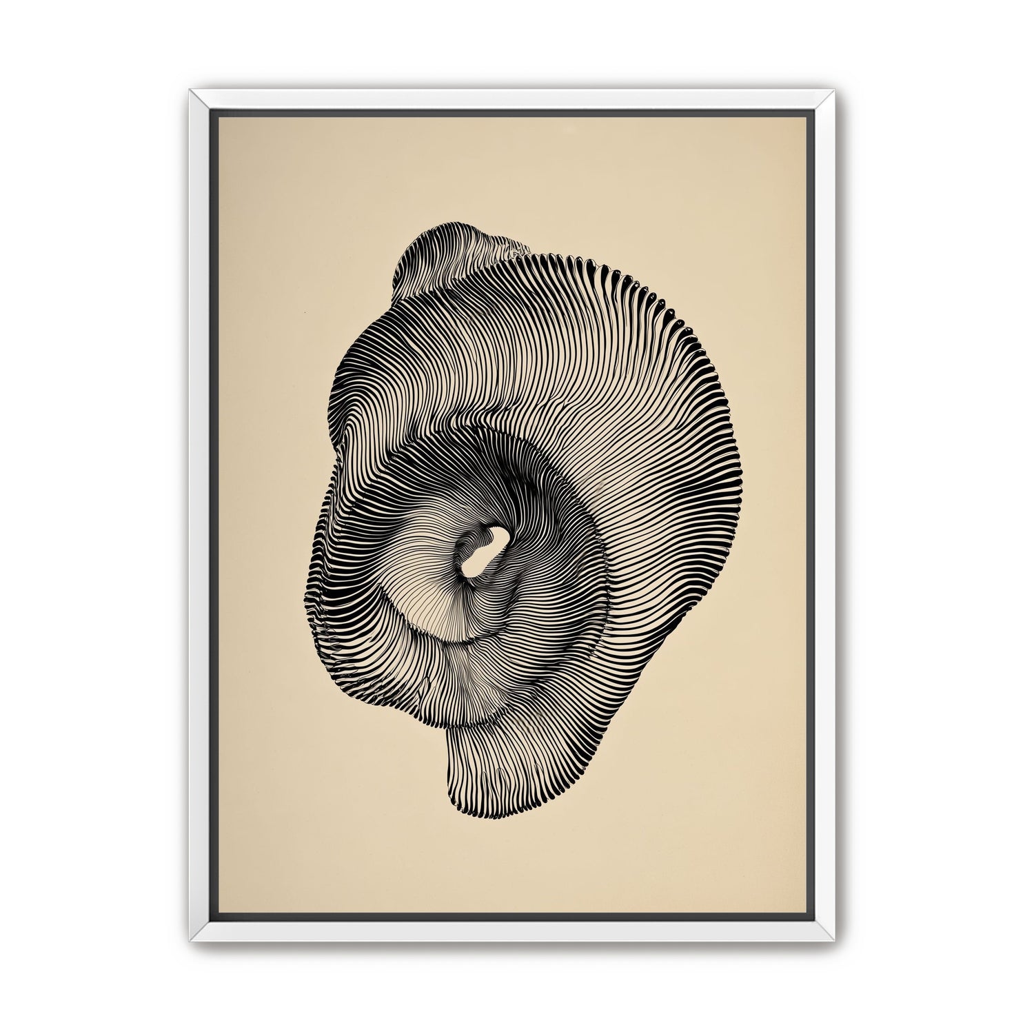 A hollow within black lines