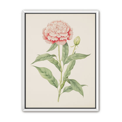 Delicate Blush