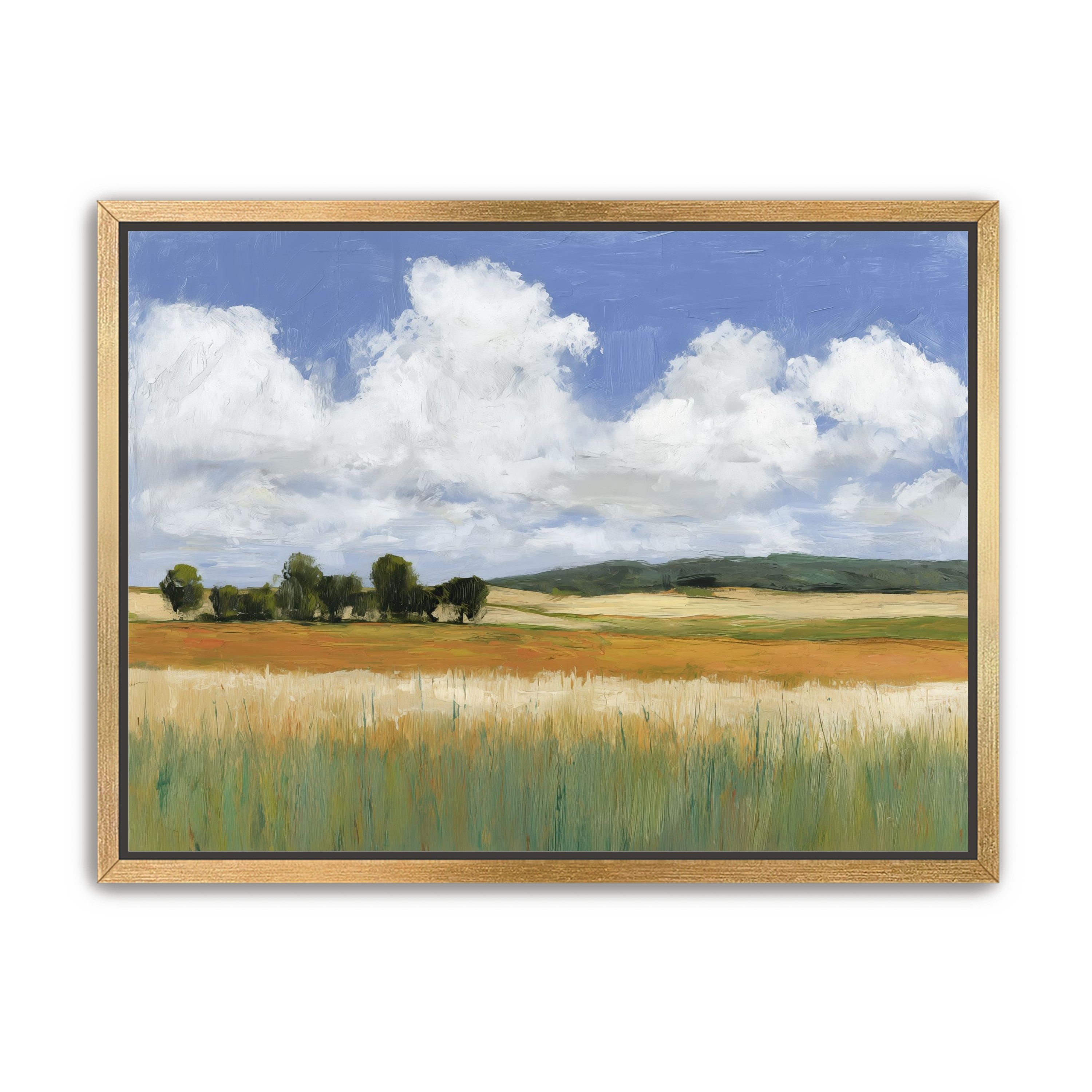 Meadow Under Clouds