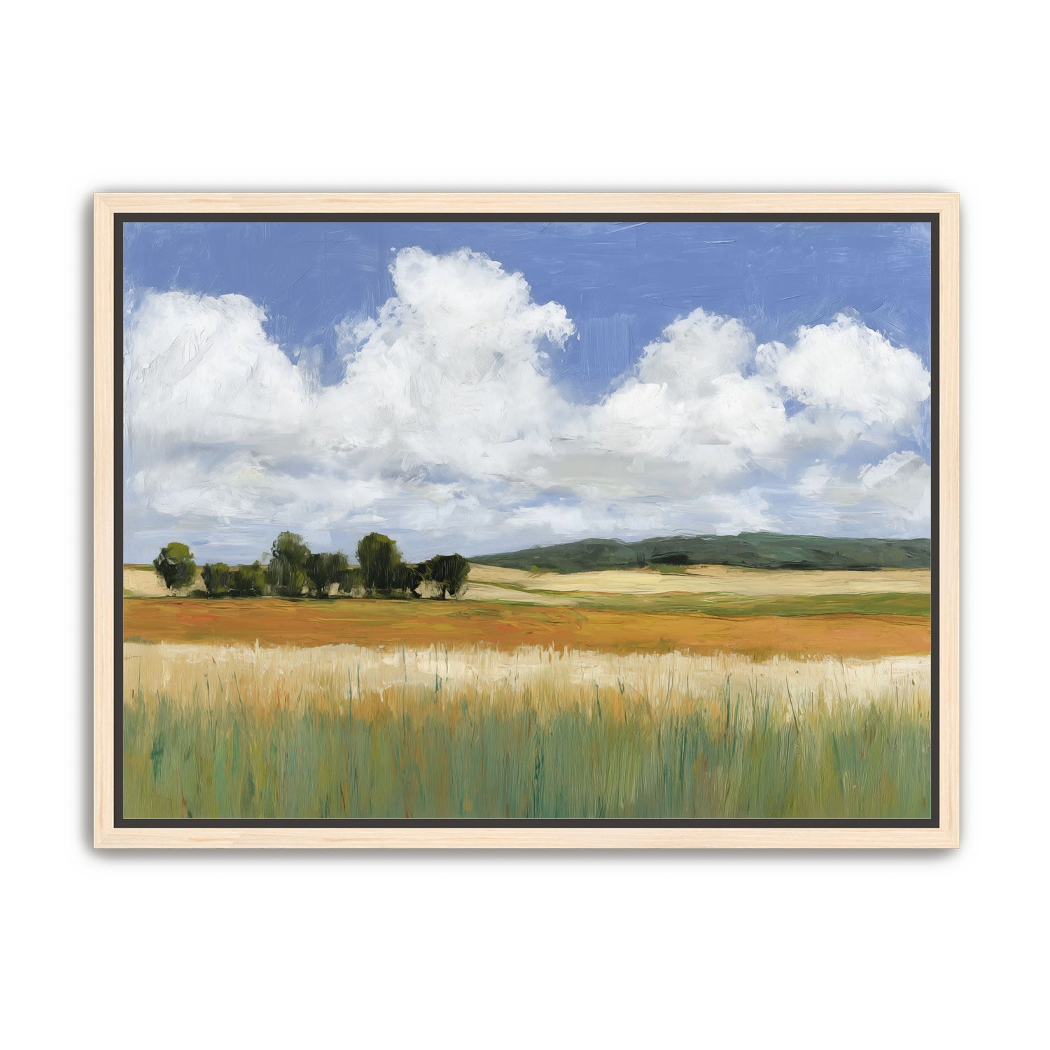 Meadow Under Clouds