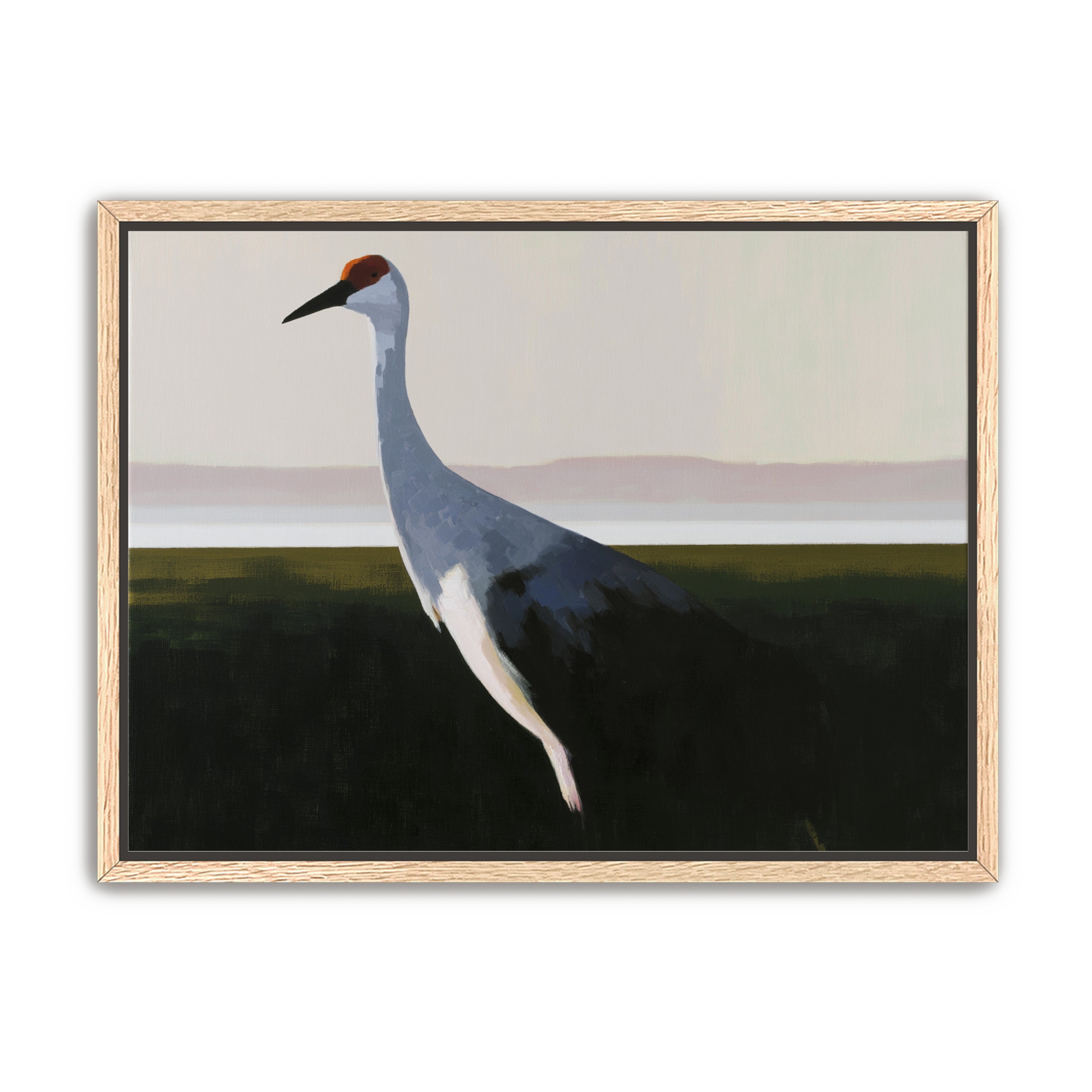 Crane with a red crown