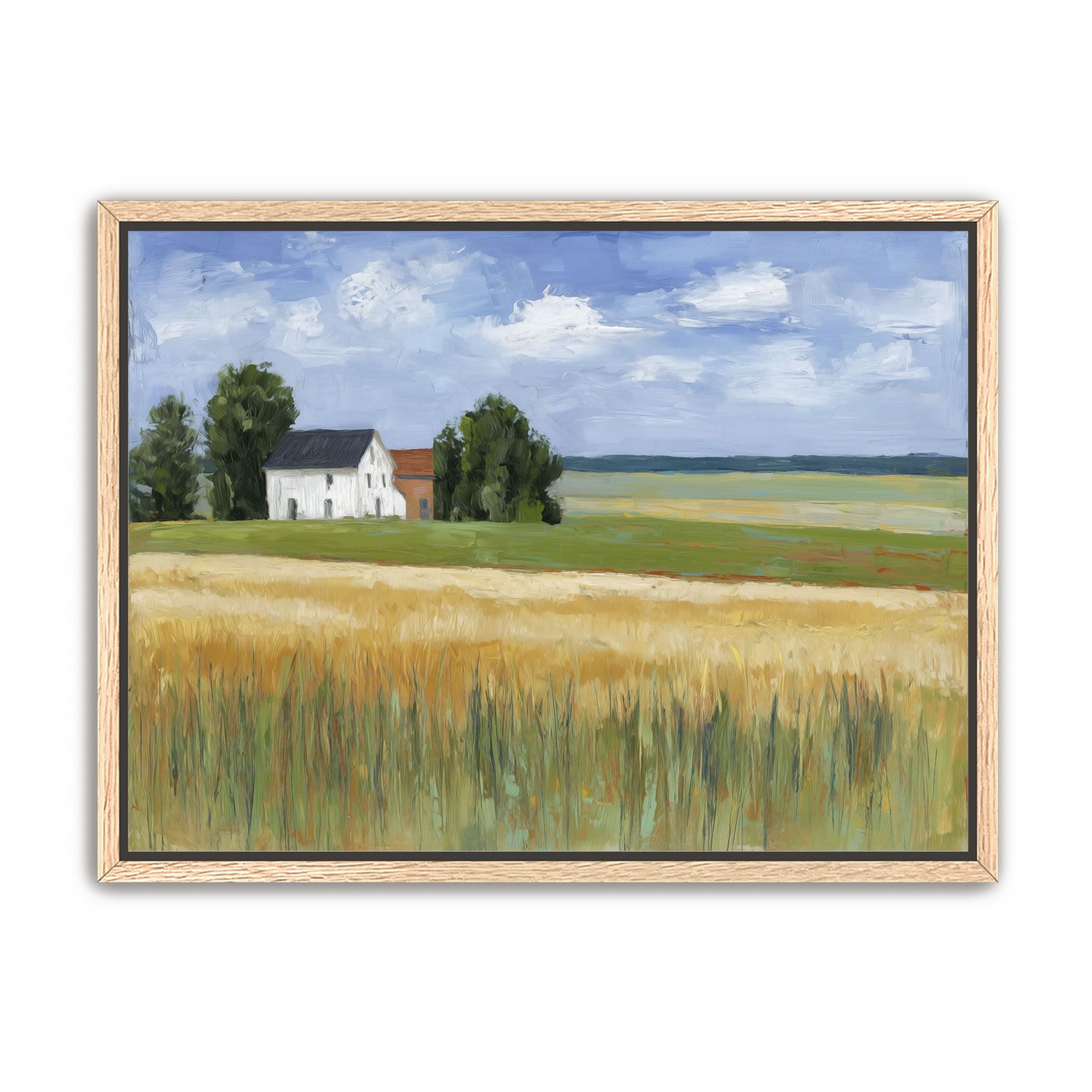 Grain Field Under Sun
