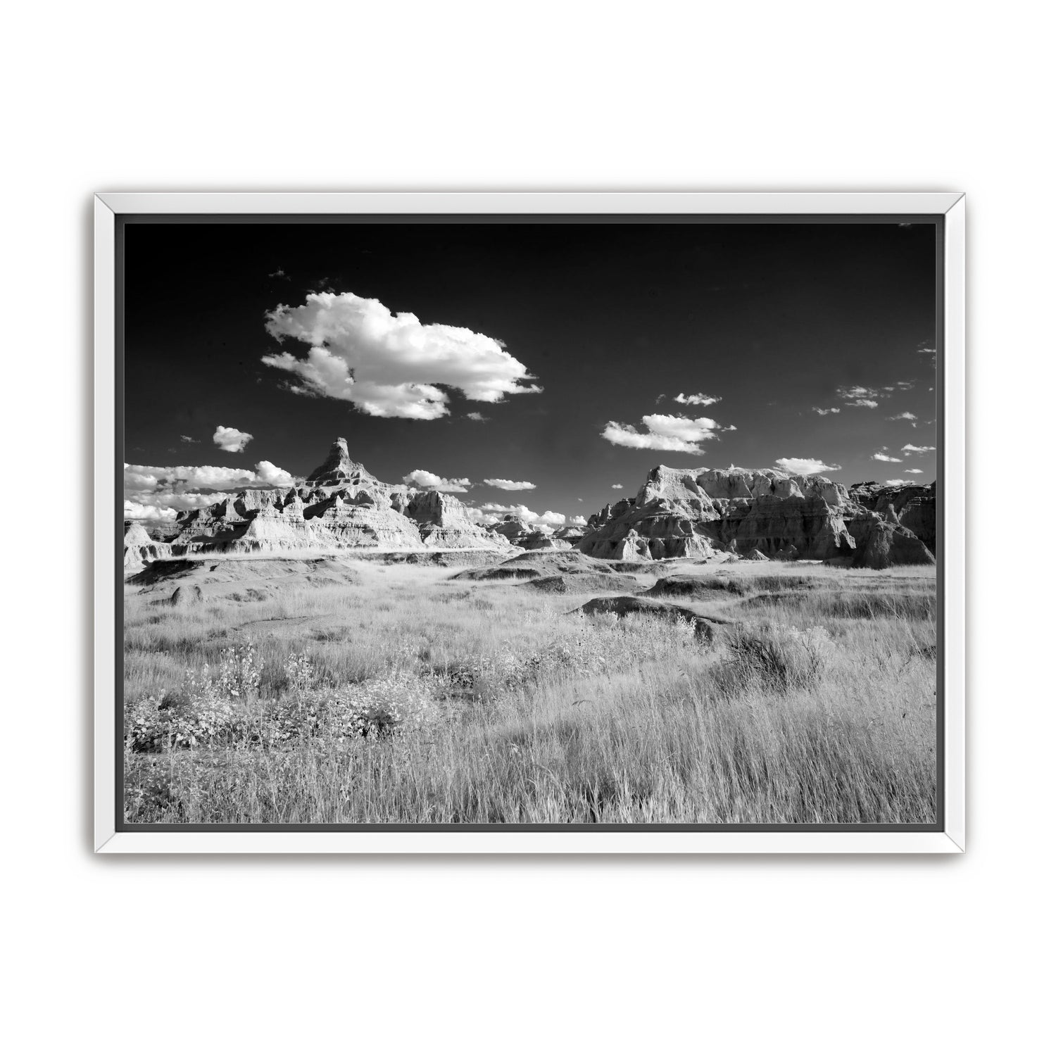 Badlands in Monochrome
