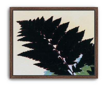 Black leaves on pale ground
