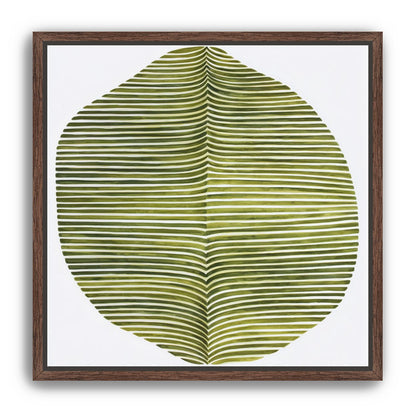 Dark green stripes crease inward