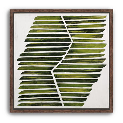 Leaf ribs around a white vein