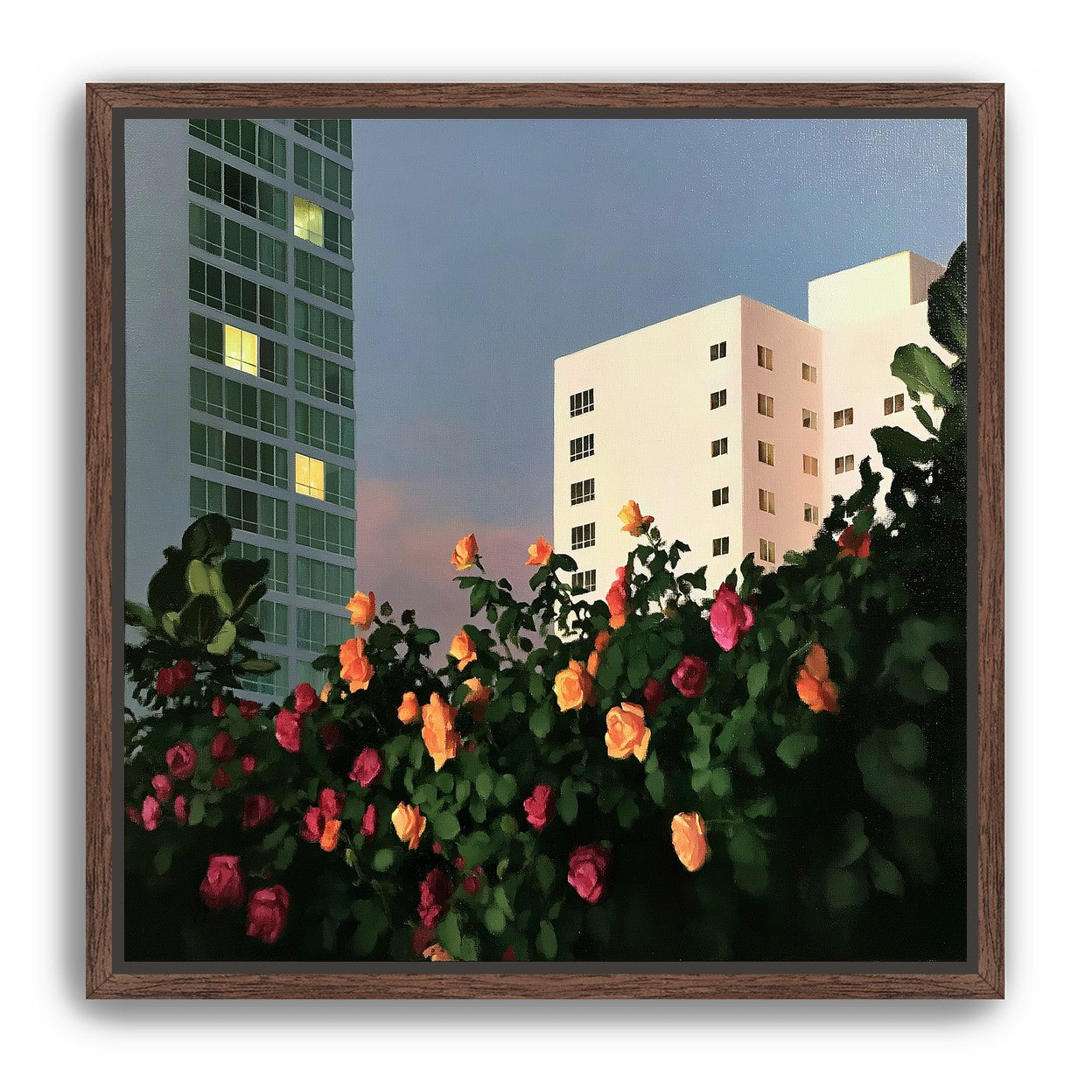 Roses below lit windows