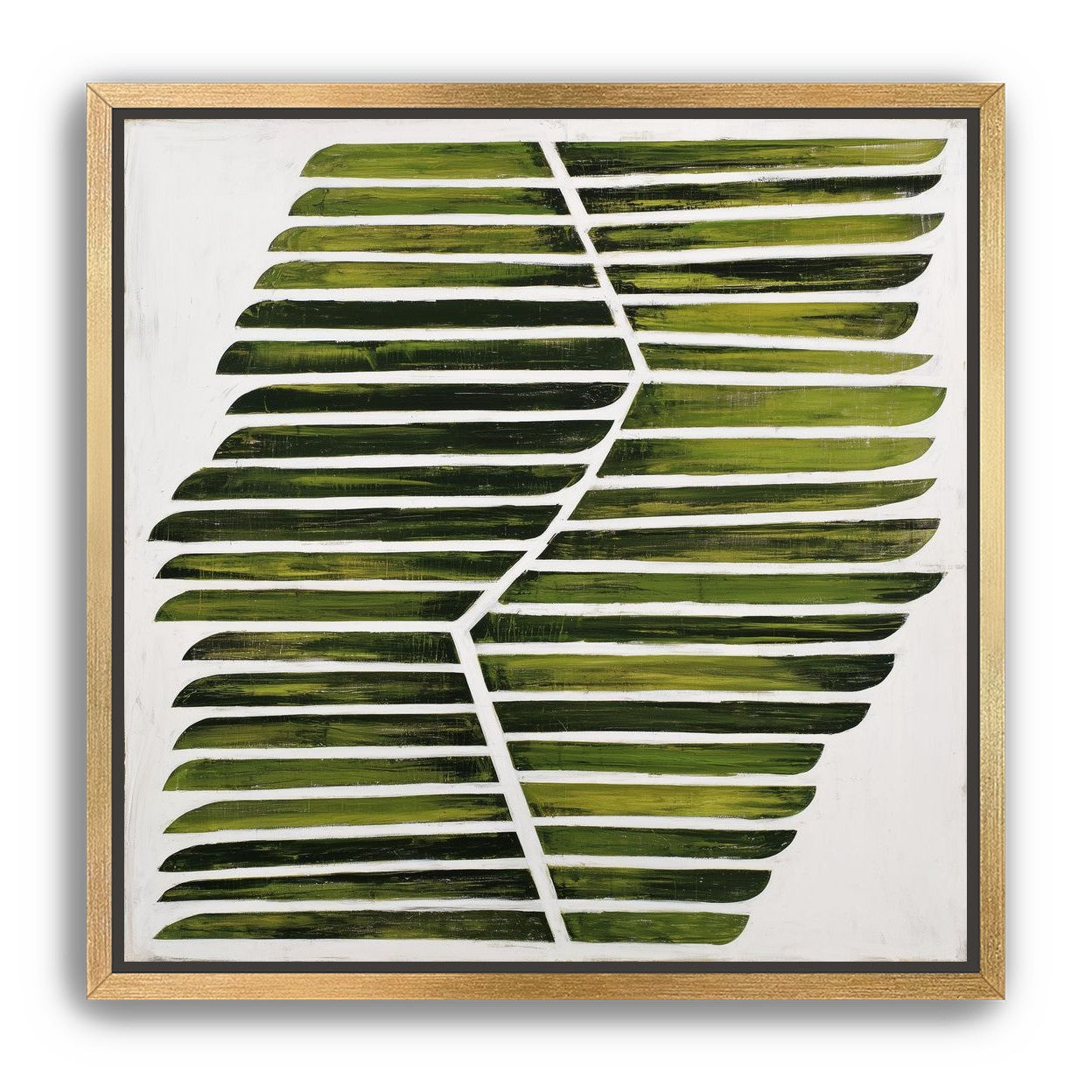 Leaf ribs around a white vein