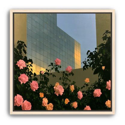 Roses against the glass wall