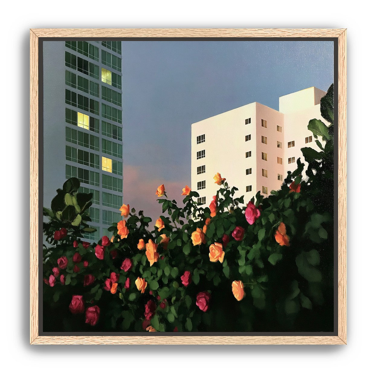 Roses below lit windows