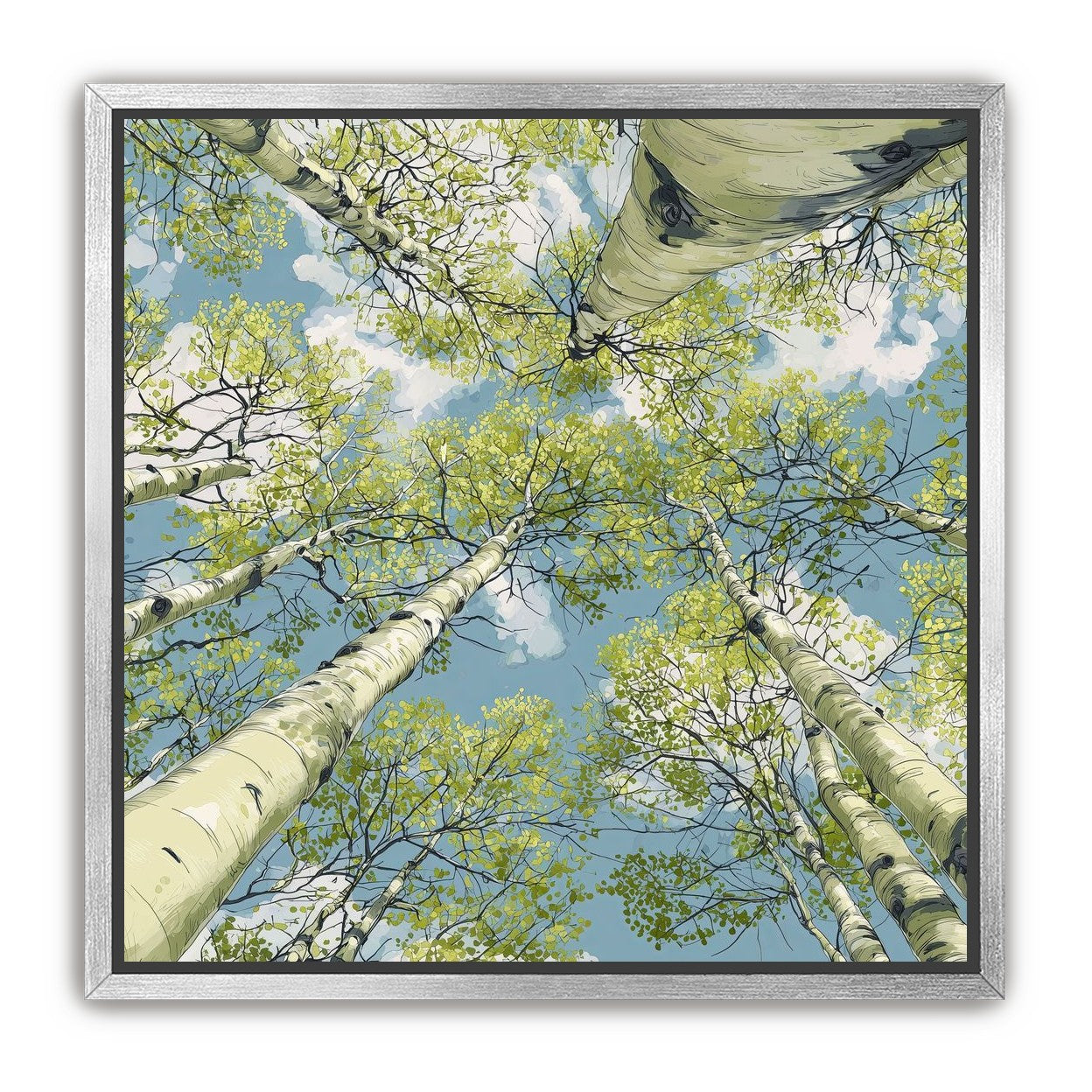Aspen Canopy I