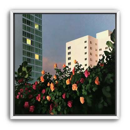Roses below lit windows